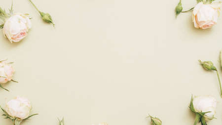 Floral background. Natural arrangement. Pink roses round frame on olive toned backdrop.の写真素材