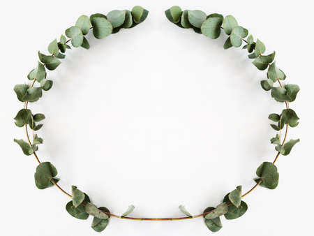 Floral wreath. Natural decor. Green eucalyptus twig circle frame on white background. Copy space.の写真素材