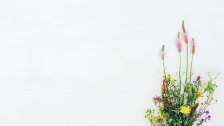 Floral background. Plants decorative composition. Wildflower bouquet on white wooden backdrop.の写真素材