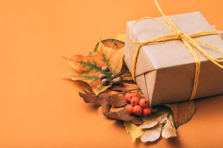 Holiday present. Special occasion. Gift box. Foliage composition Orange backgroundの写真素材