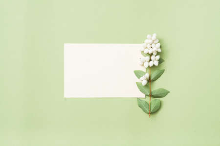 Party invitation mockup. Celebration. Mistletoe decor. Mint green background.の写真素材