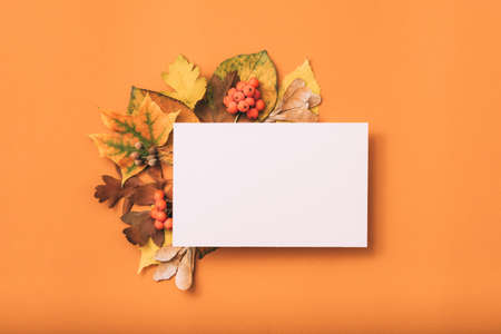 Greeting card mockup. Congratulation. Autumn leaves decor. Orange background.