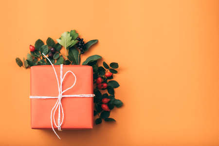 Holiday present. Birthday greeting. Gift box. Rosehip decorative composition. Orange background.の写真素材