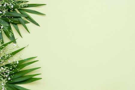 Floral background. Invitation card. Green lush leaves white delicate flowers minimal composition isolated on light copy space. Natural decor. Holiday greeting. Foliage pattern.の写真素材