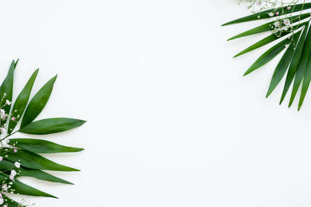 Floral background. Greeting card. Exotic green leaf delicate white flower sprig minimal arrangement isolated on light copy space. Foliage decor. Romantic design.の写真素材