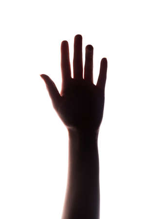 Hand silhouette. Voting right. Female arm reaching up isolated on white copy space background. Help support. Ambition confidence. Success independence.の写真素材