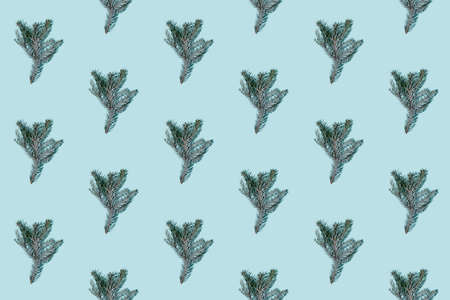 Blue Christmas background. Decor seamless pattern. Fir tree sprig symmetrical arrangement. New Year party natural ornament. Conifer twig creative design isolated on light color.の写真素材