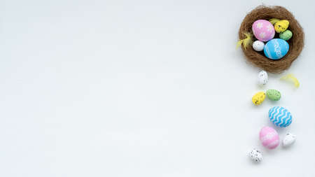 Easter banner. Festive decoration. Holiday composition. Greeting card. Pastel color painted eggs feather in nest creative set isolated on white copy space background.の写真素材