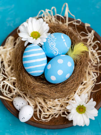 Easter catering. Holiday decoration. Festive food composition. Color egg set with polka dot stripe pattern Spring white flowers in nest in rustic plate with straw isolated on blue background.の写真素材