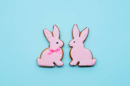 Two sweet pink icing gingerbread bunny shape cookie isolated on blue background.