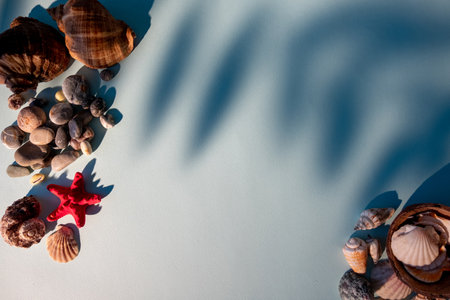 Marine background. Sea nature. Aquarium decoration. Seashell starfish gravel stone creative composition on blue shadow color gradient copy space.の写真素材