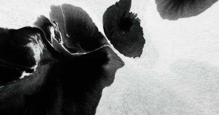 Black paint splash on white paper. Stain overlay. Frayed edge texture. Wet ink spatter blob on uneven grunge abstract background with defocused motion blur.の写真素材