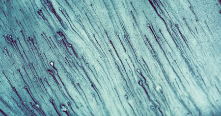 Color sand texture. Particles background. Glitter dust. Defocused blue grain noise pattern decorative abstract copy space wallpaper.の写真素材