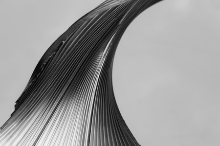 Monochrome background. Art poster. Ripple wave. Black white metallic glow on pleated curve texture decorative abstract illustration wallpaper with copy space. 3d renderの写真素材