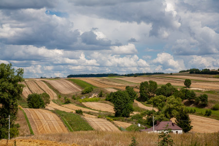 Field landscape. Farmland view. Countryside scenery. Green and yellow path meadow hills with small cottage house on fluffy sky clouds daylight panorama.の写真素材
