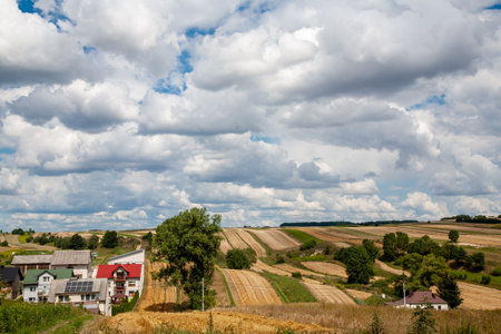Farmland landscape. Countryside village. Nature view. Green and yellow harvest path meadow hills with small cottage houses fluffy sky clouds daylight panorama.の写真素材