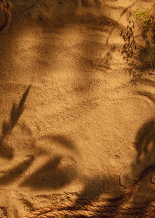 Sand texture. Desert composition. Product placement. Brown rope pile floral plant leaves shadow on sunny beige abstract background with copy space.の写真素材