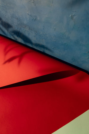 Paper composition. Product showcase. Leaves foliage shadow on red blue color block blank folded...