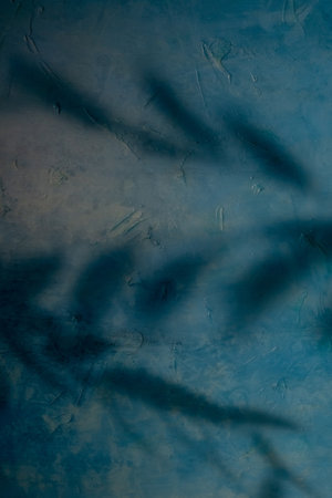 Foliage shadow. Abstract background. Nature pattern. Tree twig leaf silhouette on blue rough paint stroke texture surface with copy space.の写真素材