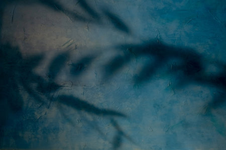 Leaves shadow. Natural background. Twig shape. Foliage branch silhouette on blue uneven texture wall abstract overlay with free space.の写真素材