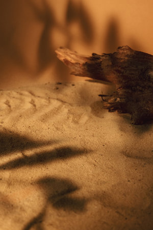 Nature showcase. Sand display. Desert decoration. Brown dry tree wood bark leaf foliage shadow on...