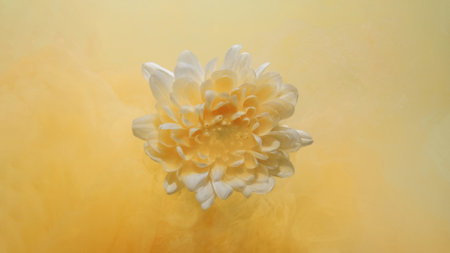 Floral background. Flower smoke. Fantasy nature. Yellow color paint mist floating in water over white blooming daisy petals abstract art texture with copy space.の写真素材