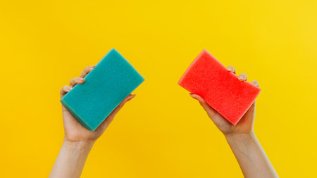 Dirt wiping. Cleaning quality. Housewife woman hands with two green and pink washing sponges ready...