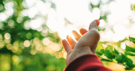 Woods sunrise. Forest recreation. Hope faith. Man hand reaching out to bokeh light beam in blur plants greenery leaves lens flare on outdoors background.の写真素材