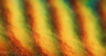 Film leak light. Blurred overlay texture. Defocused heavy grain dust yellow multicolor lens flare flickers radiance holographic glare on abstract art background.の写真素材
