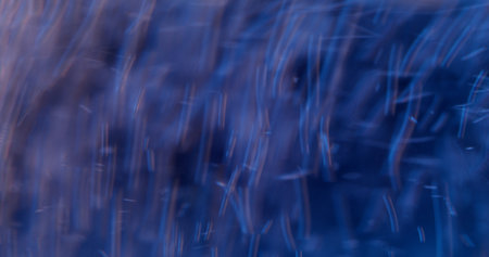 Bokeh suspension. Quick flow. Accelerated rotation effect. Movement circle water color change. Bubbles shimmer liquid. Active speed atmosphere.の写真素材