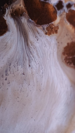 Paint particles. Wave background. Defocused brown white colorful sparkling water blend dot flowing on abstract creative art.の写真素材