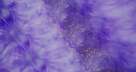 Dust purple. Defocused cosmetic texture. Defocused blinking shining gleaming structure turning on...
