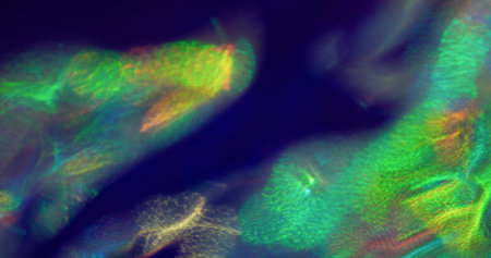 Light leak. Neon defocused gradient. Green beam glowing on violet background. Night colorful abstract refraction optical effect.の写真素材