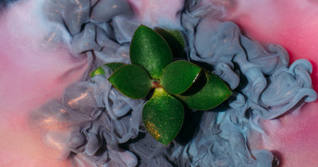 Green succulent art. Haze swirl. Gray fume blow in pink shiny emulsion paint abstract color defocused background. Glitter glow on nature plant.の写真素材