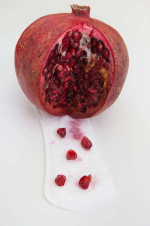 Female period, woman health. Regular cycle, monthly bleeding vagina. Critical days, sanitary...