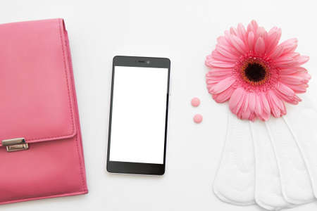 Menstruation Cycle Calendar Health Woman Reproductive Birth Control Period Contraception Female Bag Stuff Conceptの写真素材