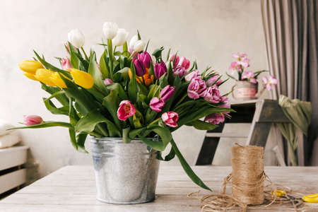 Tulip bouquet. Floristry workplace background. Colorful flowers, tools set in white interior. Preparation for the creation of bunch. Florist, decorator, diy, craftsmanship, spring gift conceptの写真素材
