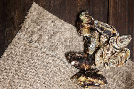 Oyster shelss closeup on napkin. Lush dinner top viewの写真素材