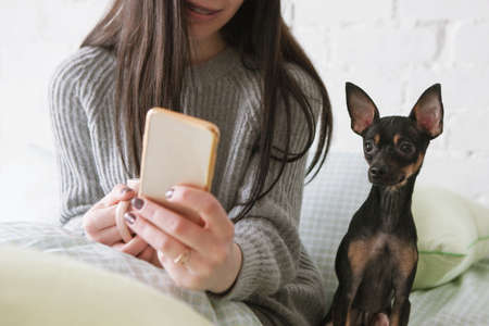 Strong friendship between human and dog. Small puppy and loving owner, bond among pet and womanの写真素材