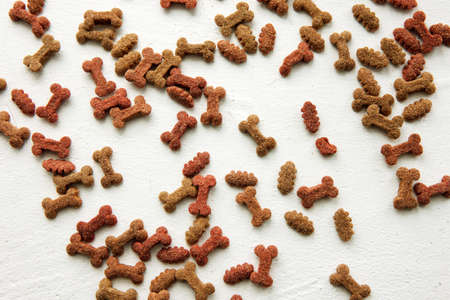 Dry dog food on white background top view. Pet feed advertising, health care for animals.