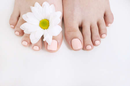 Perfect nude pedicure on white background and spring flower. Female feet top view with free space. Result of spa salon procedureの写真素材