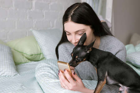 Strong friendship between owner and dog. Toy Terrier and young woman, girl show to puppy picture on her mobile phone. Modern social media backgroundの写真素材