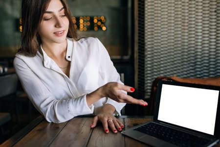 New products presentation. Freelancers project. Business site demonstration, laptop with blank...