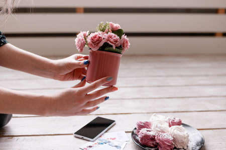 Process of decoration for food photo of sweets. Colorful zephyrs and crimson roses with smartphone on wooden backdrop, delicious confectionery and gourmet cookies photographyの写真素材