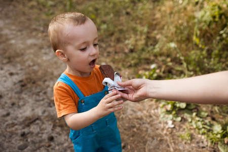 Eating baby nature picnic concept. Delicious food in the fresh air.の写真素材