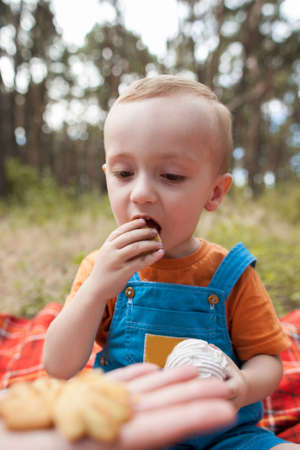Eating baby nature picnic concept. Delicious food at the fresh air.の写真素材