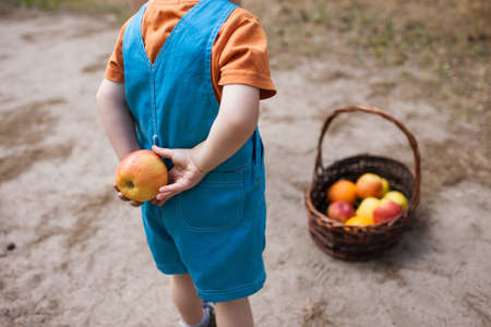 Child hide orange fruits picnic concept. Healthcare lifestyle. Happy childhood.の写真素材
