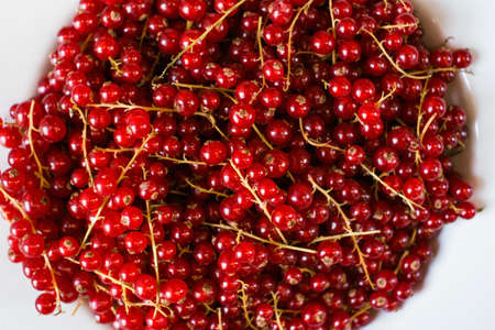 top view of red currant on white background. Healthy organic food with antioxidants as part of...