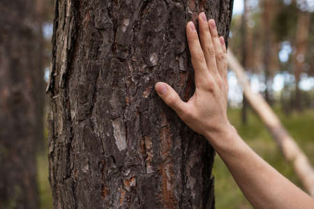 Inner harmony unity nature concept. Tactical sensations. Traveler lifestyle.の写真素材