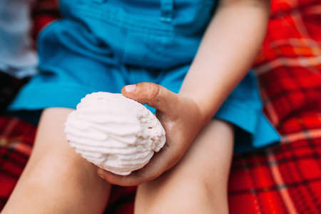 Tasty marshmallows nature picnic baby concept. Delicious sweets. Happy childhood.の写真素材